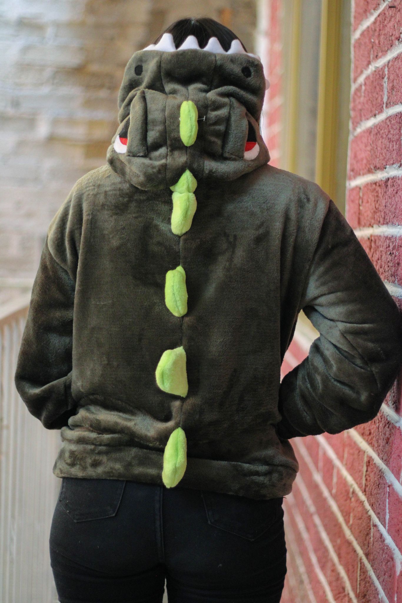 Sudadera Dinosaurio Unisex