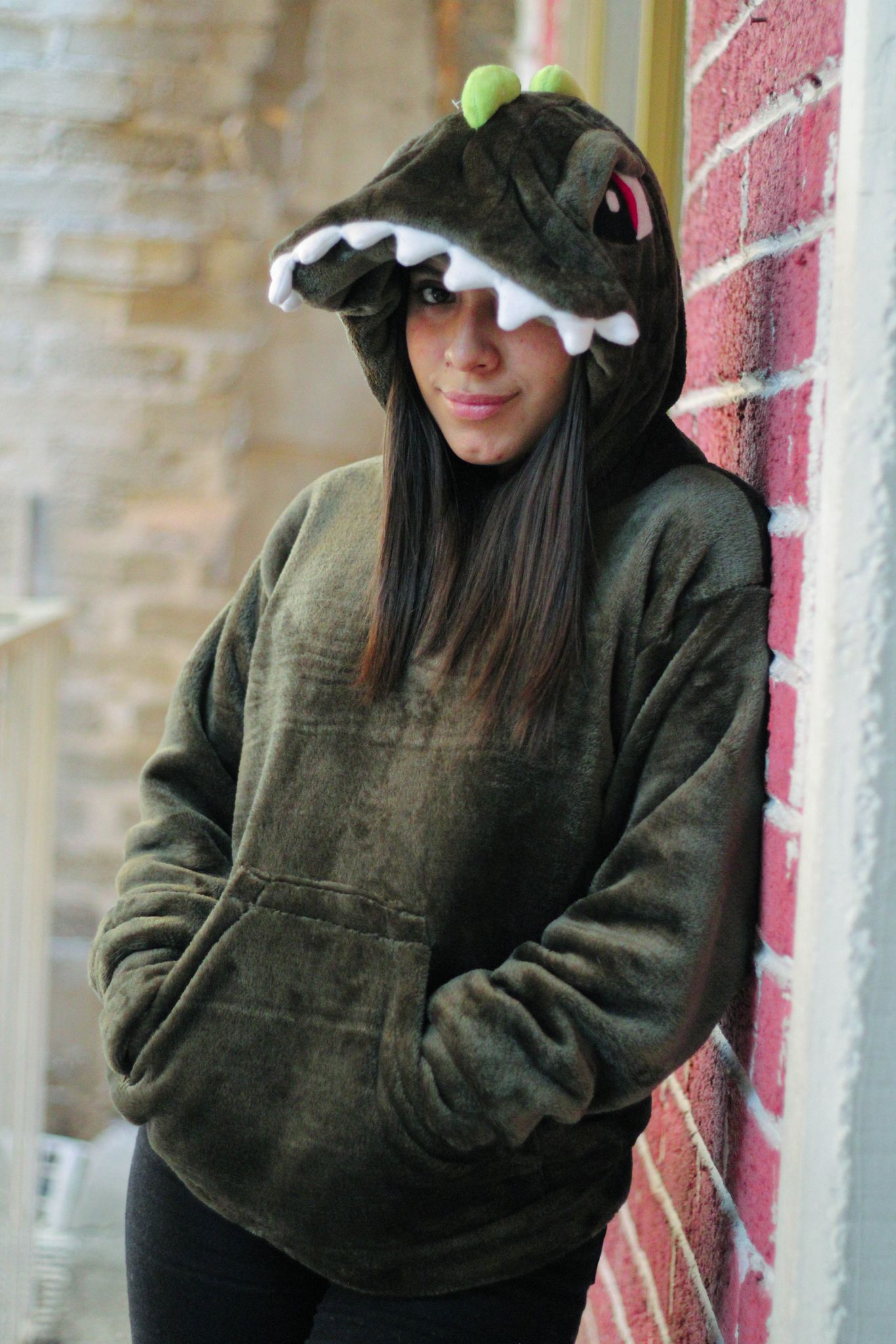 Sudadera Dinosaurio Unisex