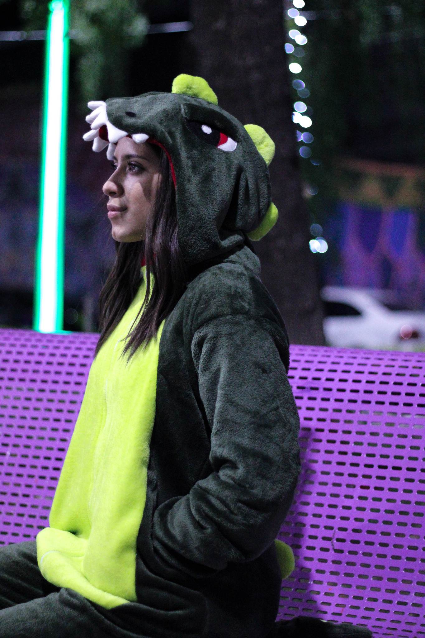 Kigurumi Pijama Dinosaurio Unisex